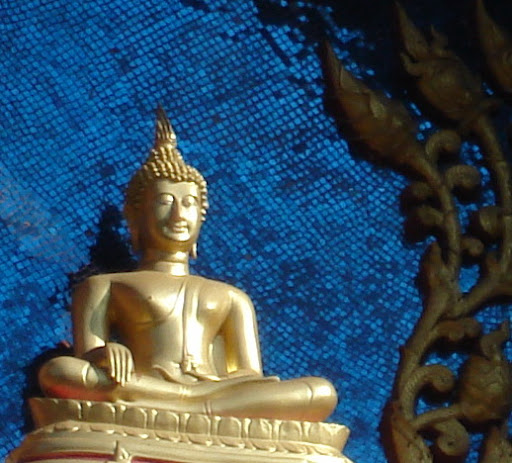 http://lh5.ggpht.com/_pTG3in6GYZE/SUjh2G7gYyI/AAAAAAAABuk/Px6-cidwwfg/DSC06551.jpg