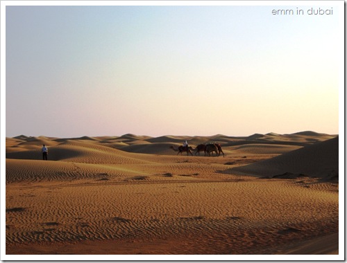 Dubai Desert