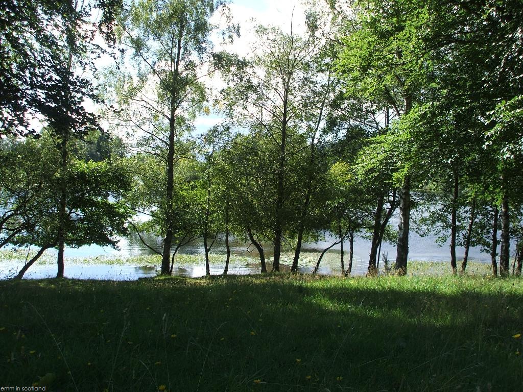 [Loch Monzievaird (52)[2].jpg]