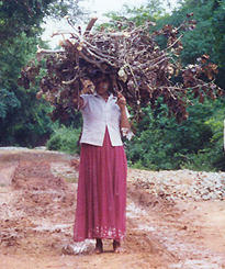 Fuelwood Collection Hyderabad India Credit D Barnes