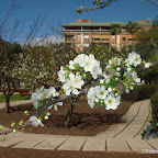 Jardines de la Buhaira 1.jpg