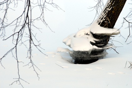 DSC_9632 DSC_9632