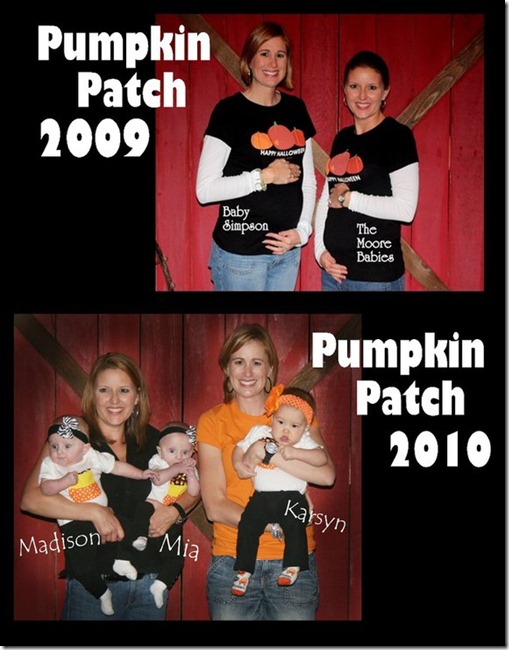 Pumpkin Patch Collage 2