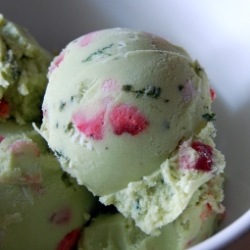 avocado-ice-cream-crop-2