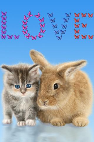 Cat and Bunny. Cute Wallpaper.