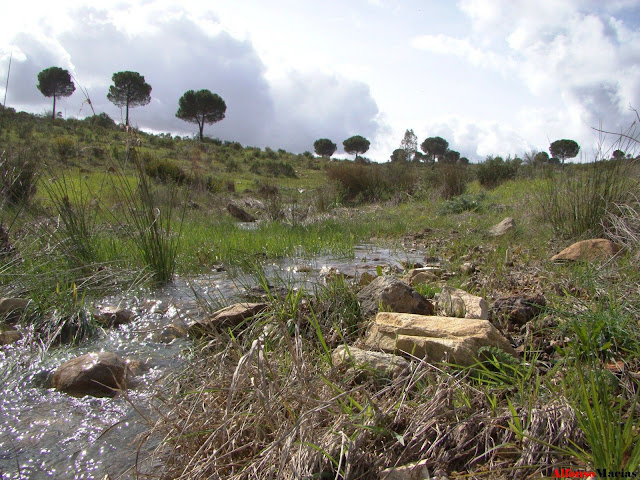 Valverde del Camino, Aguas de la lluvia. 1034 litros desde septiembre Valverde del Camino, Aguas de la lluvia. 1034 litros desde septiembre