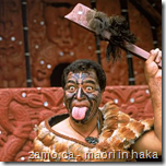Maori in Haka