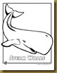 sperm-whale-casalot