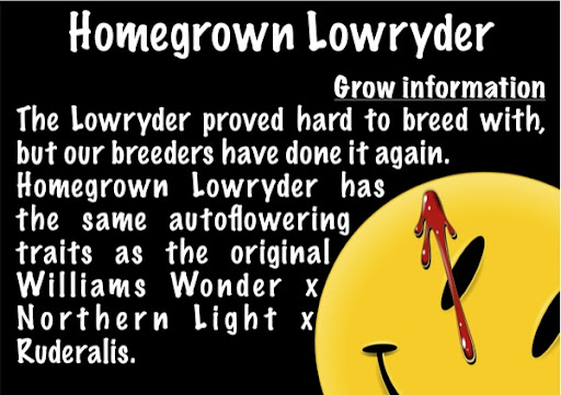 lowryder-page3.jpg