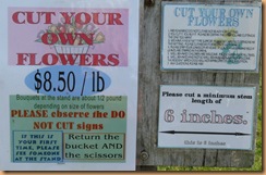 IMG_1409 IMG_1409