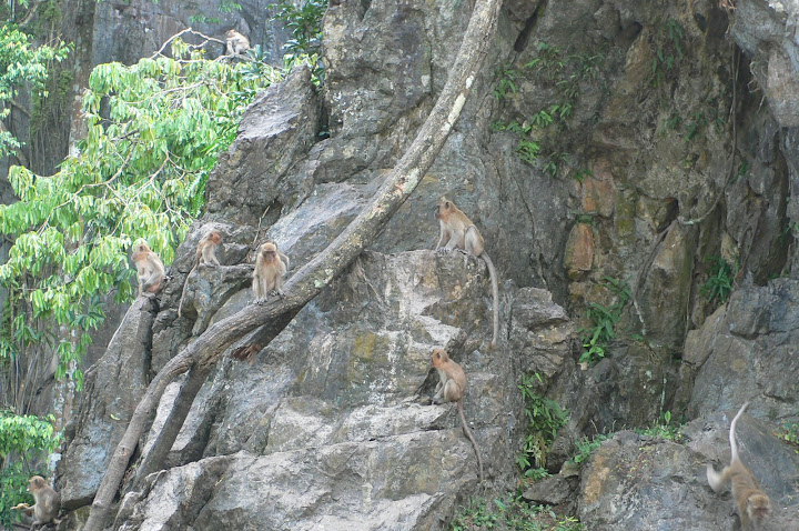 P1100414.JPG