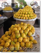 Goa mangoes