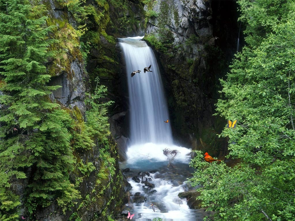 [waterfall[3].jpg]