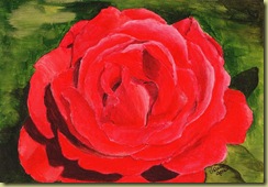 Rose Acrylic