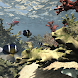 3D Tropical Sea Water Ripples