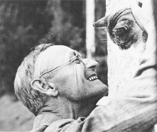 Hermann Hesse with 