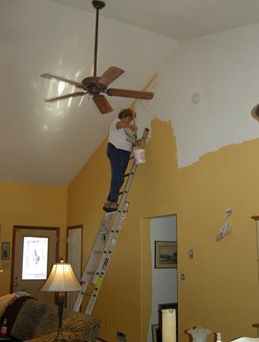 Painting the Living Room (3)