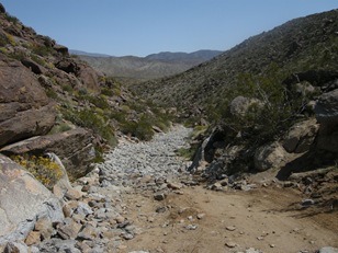 Coyote Canyon (37)