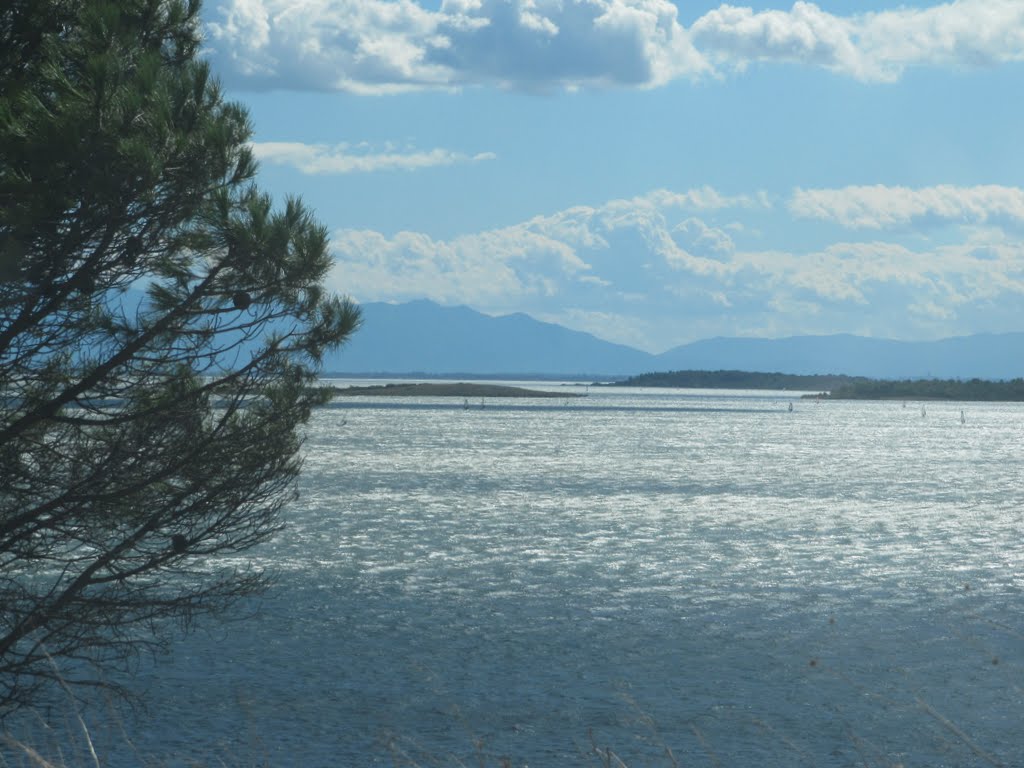 septembre 2010 047.jpg