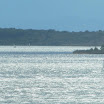 septembre 2010 048.jpg