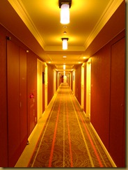 DSCF7131 DSCF7131