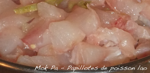 Mok Pa - Papillotes de poisson lao au lait de coco