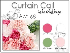 curtain call 68 carnations at evetagious.blogspot