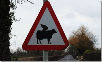 flying cow sign