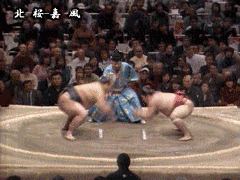Sumo-Extreme