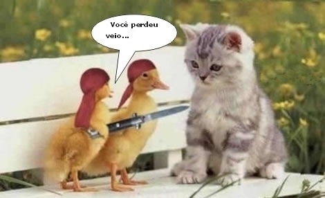 [PatosAssaltantes[3].jpg]