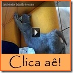 Clica aê anormal!