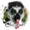 É créu nelas!