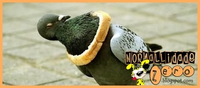 [Animal-Get-Amazingly-Stuck-14[1].jpg]