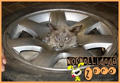 [AnimalGetAmazinglyStuck19_thumb1[4].jpg]