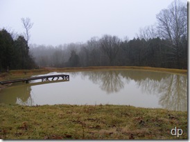 Full pond