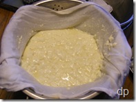 curd in cloth to drain off whey