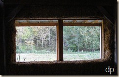 one of the living room windows
