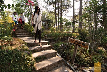 Flowered Pathway at Sagada's St. Joseph Resthouse