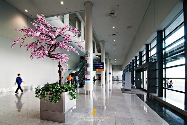 Cherry Blossoms at the NAIA III Terminal