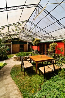 Al Fresco Dining at Sweet Greens Deli Café's Backyard