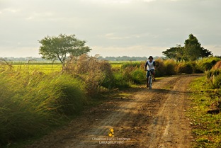 A Biker Whizzing Through the Candaba Wetlands