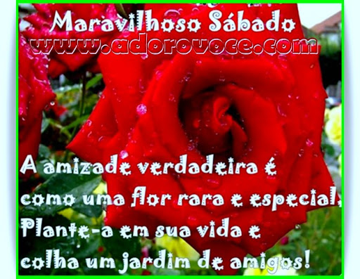 Recado Para Orkut - Amor: 1
