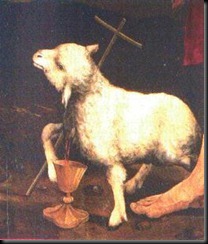 agneau (1)