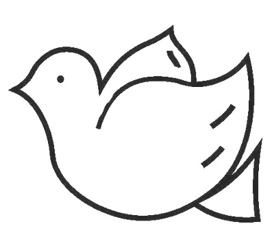 palomas paz (3)