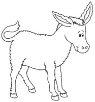 burro1