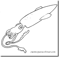 calamar (4)