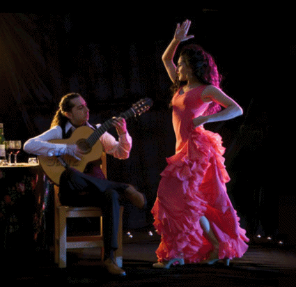 [flamenco2[3].gif]