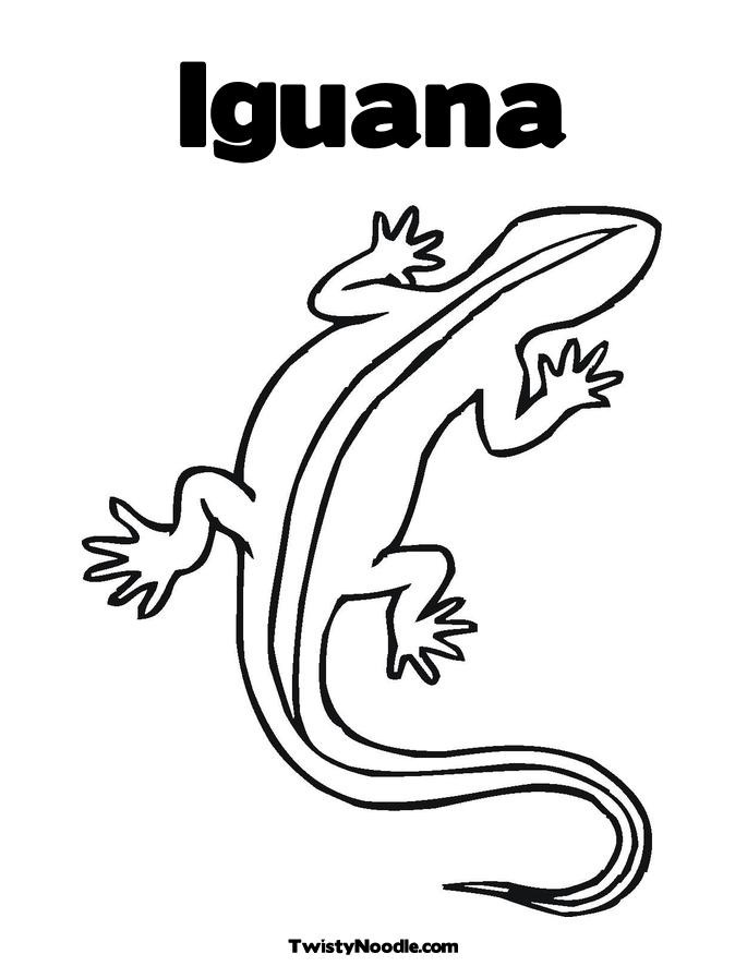 [iguana blogcolorear (5)[5].jpg]