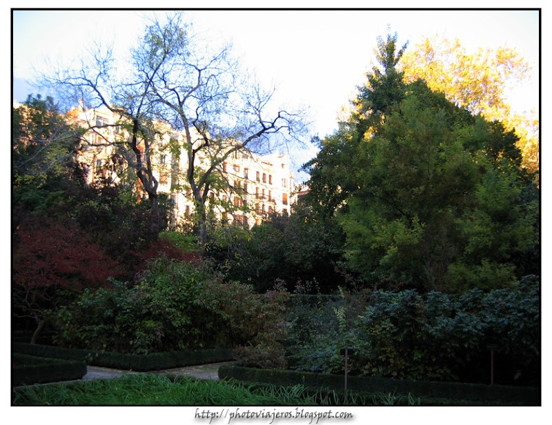 Jardin Botanico de Madrid