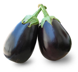 BT Brinjal A controversy in India BT Brinjal Image PPT Controversy India & UK